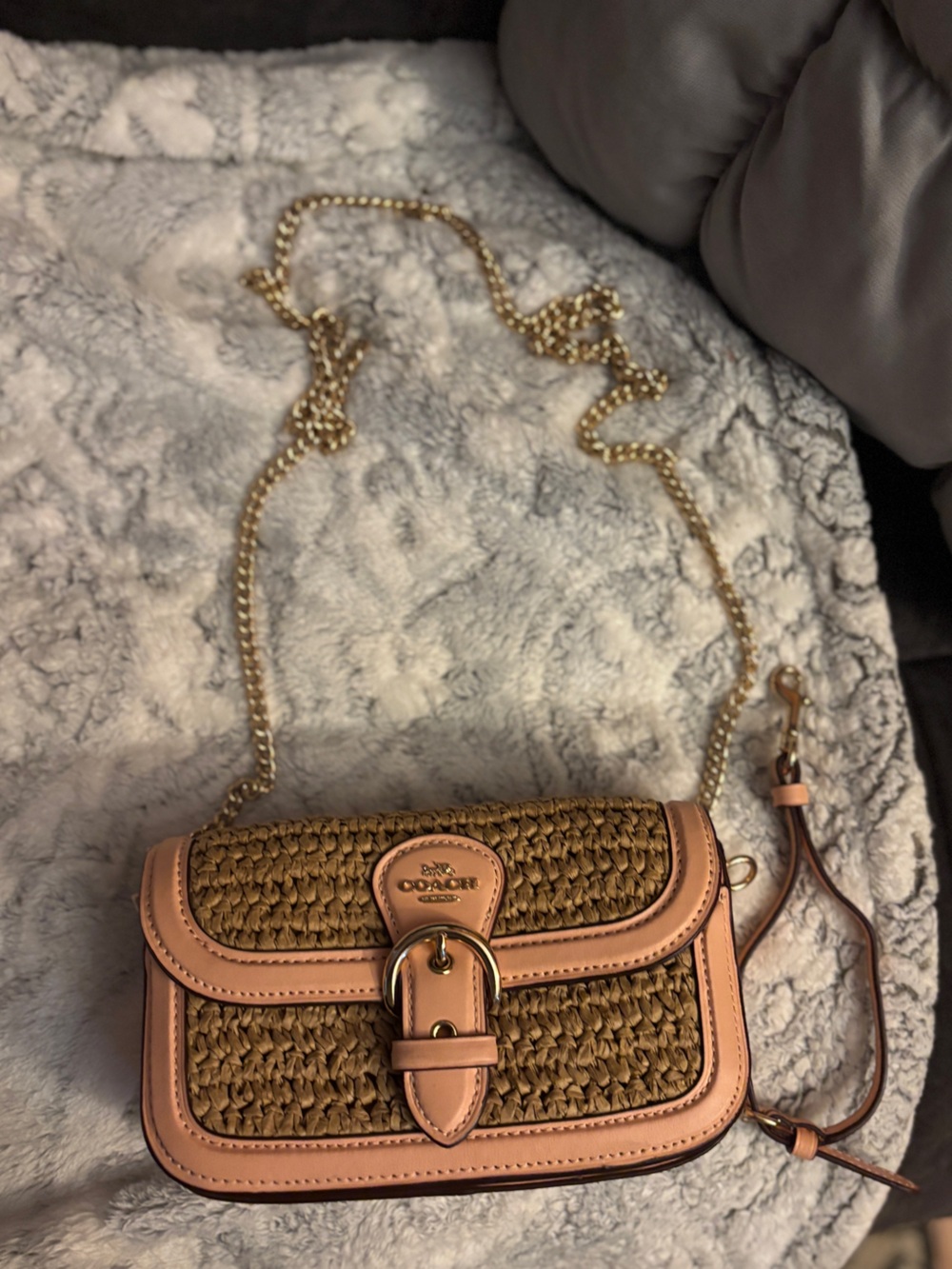 Coach Kleo Straw bag Pink Trim Woven Crossbody Bag